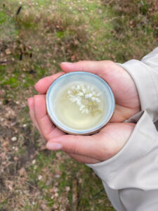 Kopje thee in de hand bosbaden
