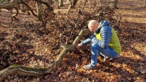 Natuurcoaching Alkmaar in het bos van Bergen