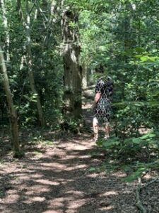 systemisch coach natuur