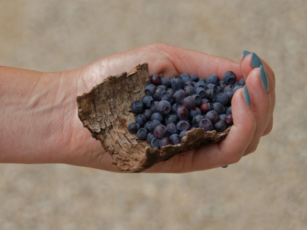 workshopdag Oogstfeest voor ondernemers Castricum Noord Holland