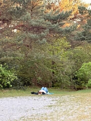 bosbaden liggend in het gras